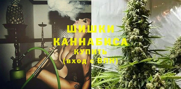 экстази Каменка