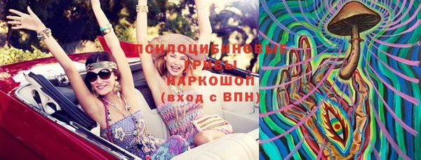 экстази Каменка