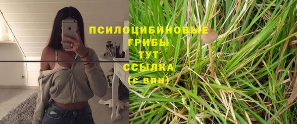 прущая мука Каменногорск