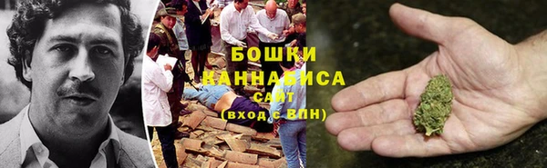 прущая мука Каменногорск