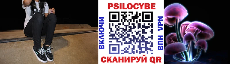 Псилоцибиновые грибы мицелий Касли